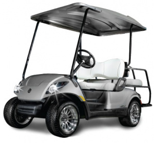 Lithium Golf Cart