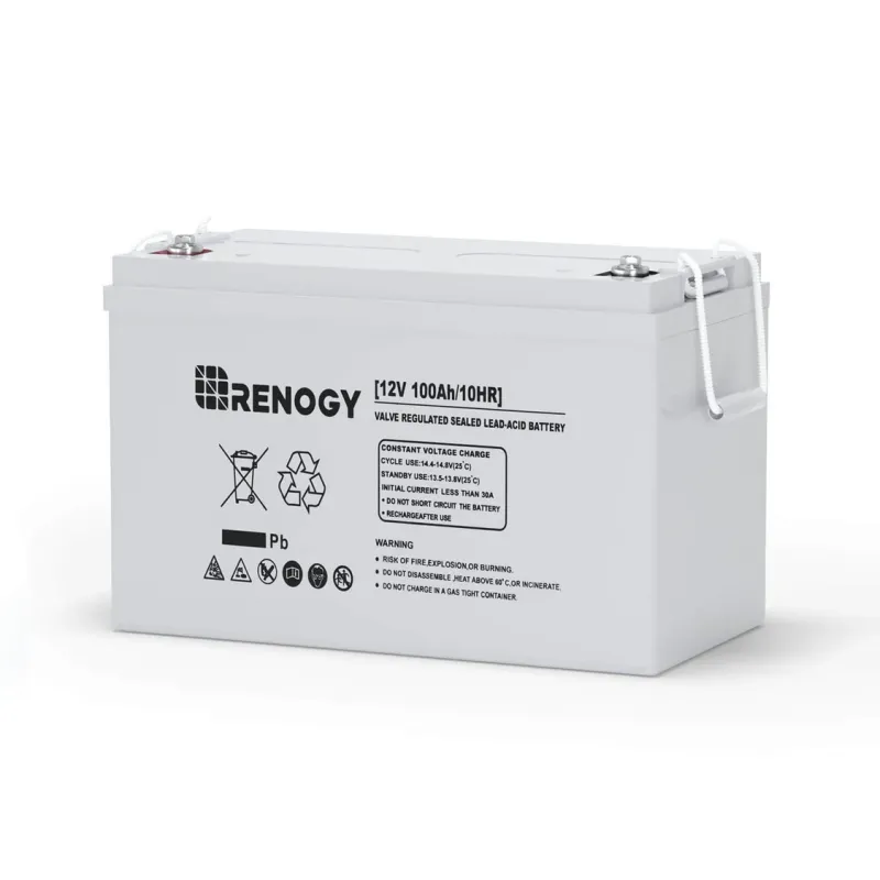 Renogy Deep Cycle AGM 12V 100Ah sealed maintenance-free lead-acid battery for marine, solar, RV, and off-grid applications
